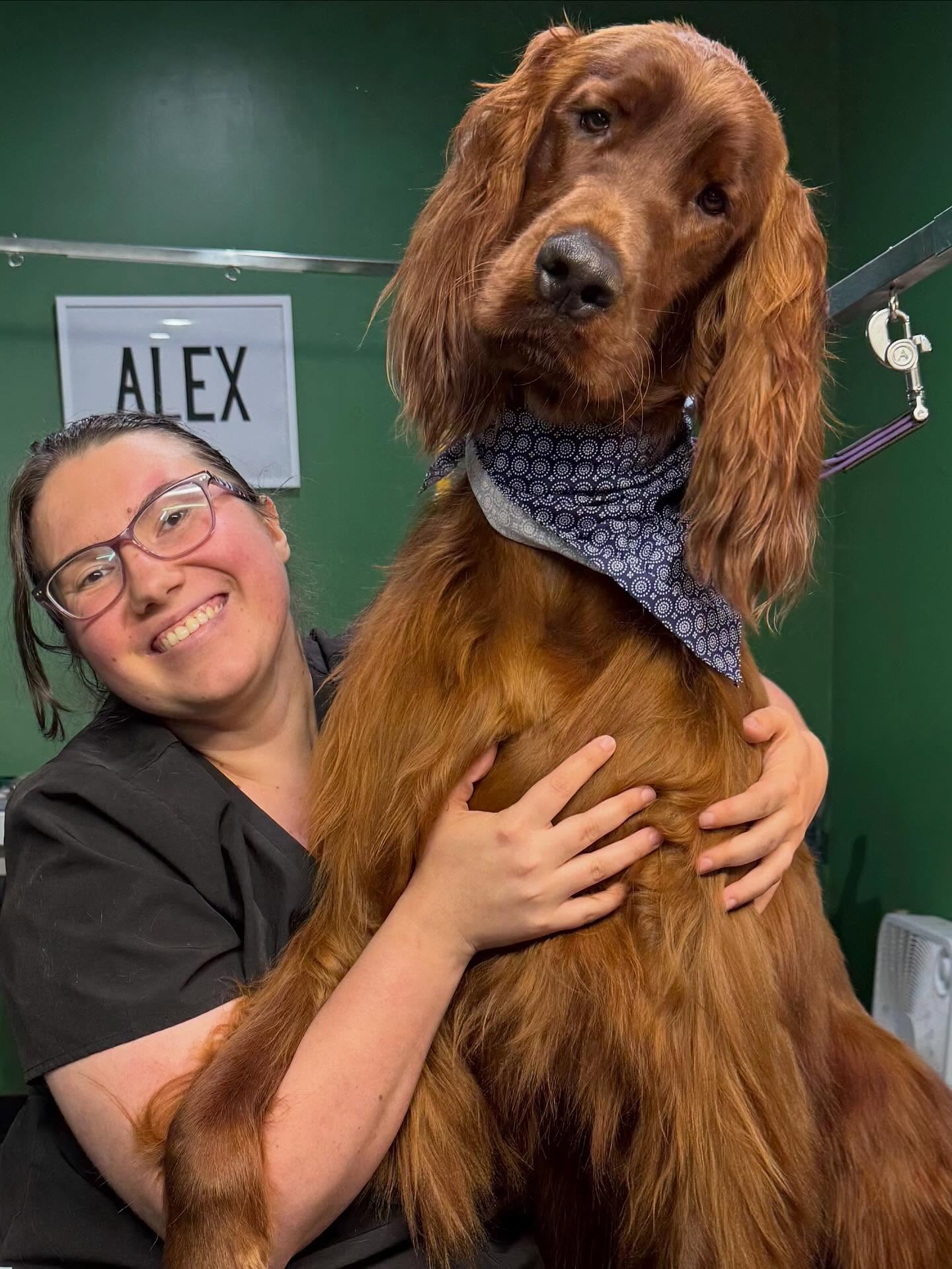 A Tino’s groomer smiling beside a freshly groomed red setter
